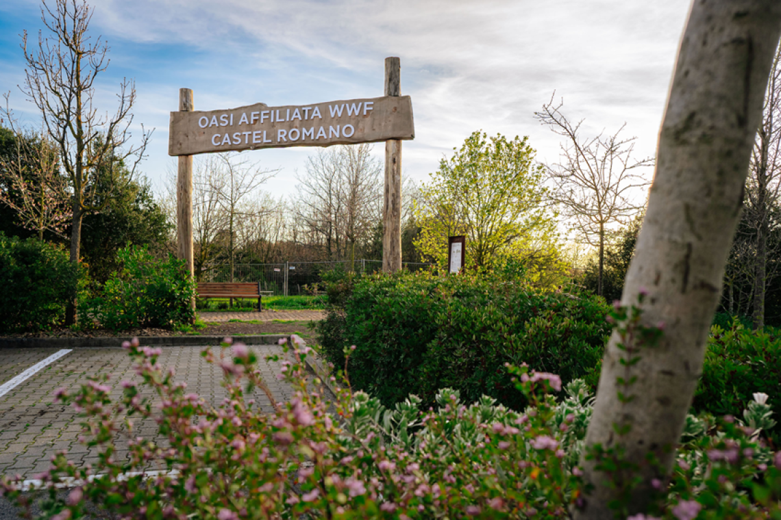 Celebrati due anni di oasi affiliata WWF di Castel Romano